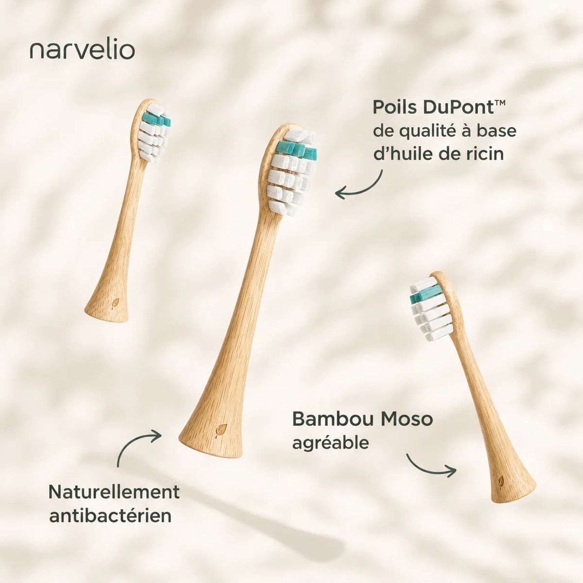 Koa V2 PRO ™ - Brosse à dents sonique durable